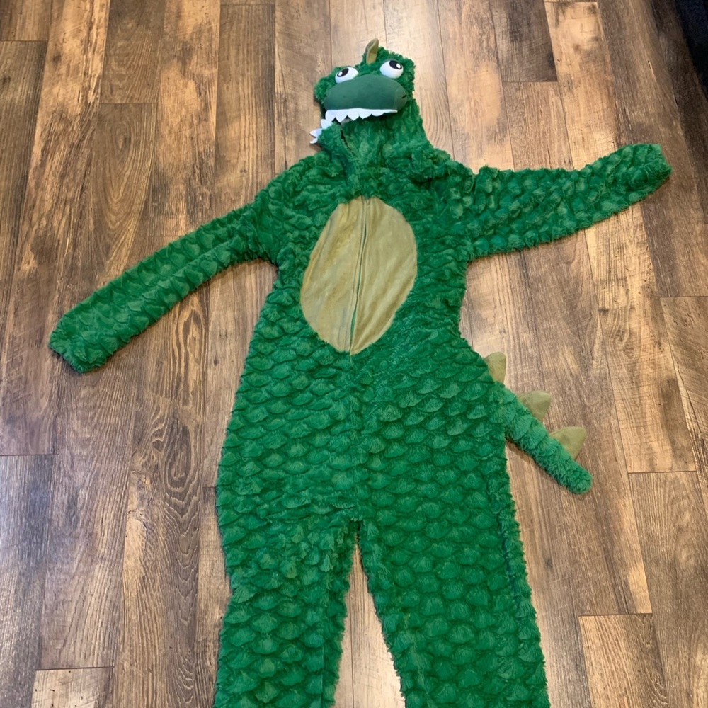 Dinosaur lizard onesie one piece costume